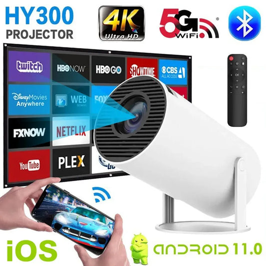 Proyecto HY-300