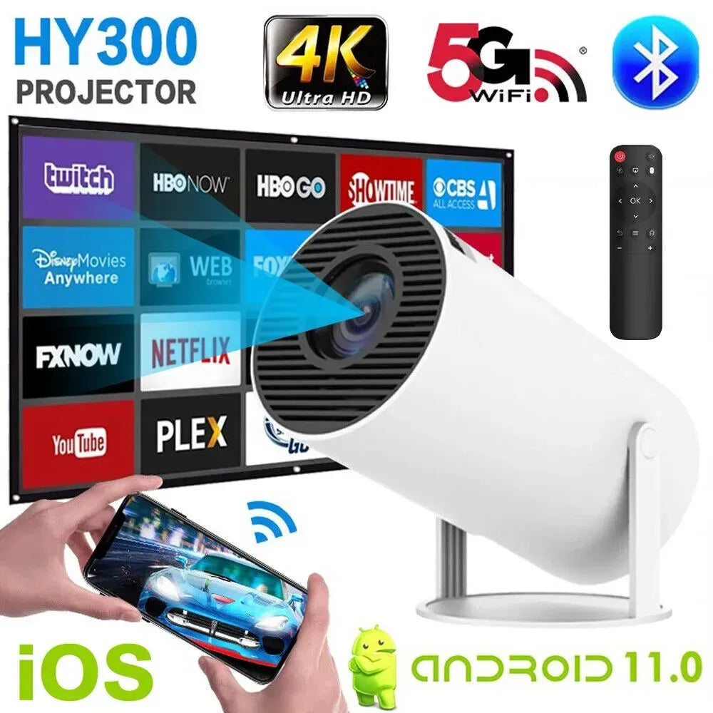 Proyecto HY-300